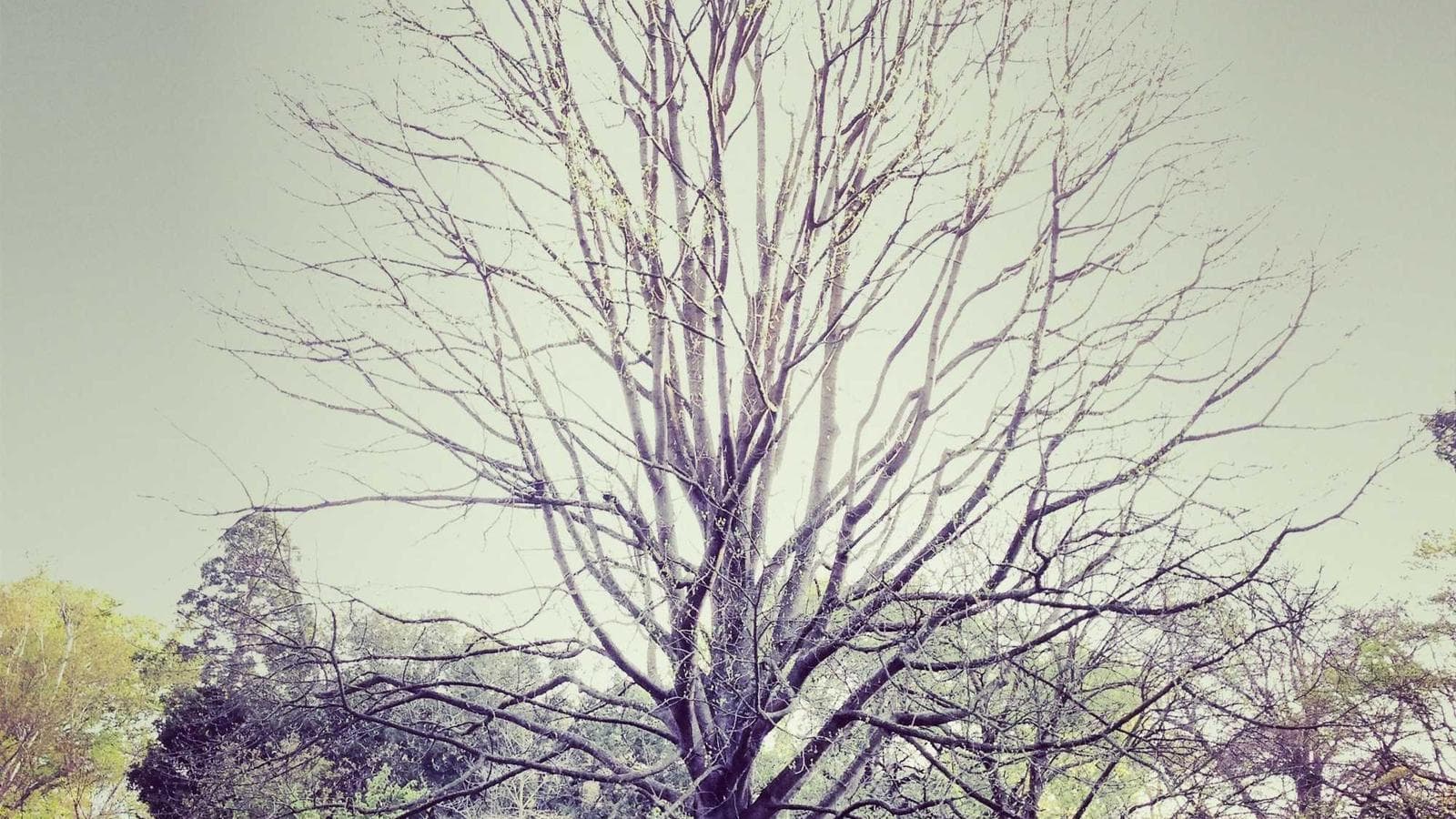 2万ドルを早く貯める3つの実践的な方法