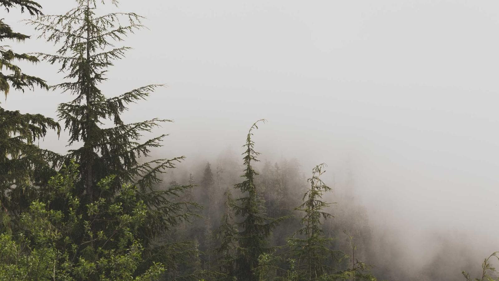 AWSの爆発的成長:Amazon利益の核心エンジン