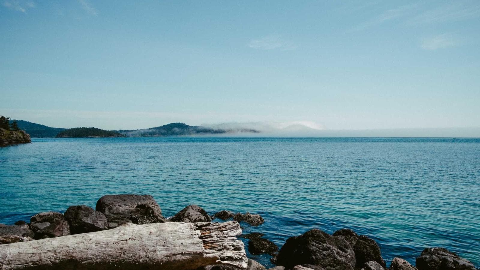 2025年上半期投資見通し:なぜ韓国より米国なのか?