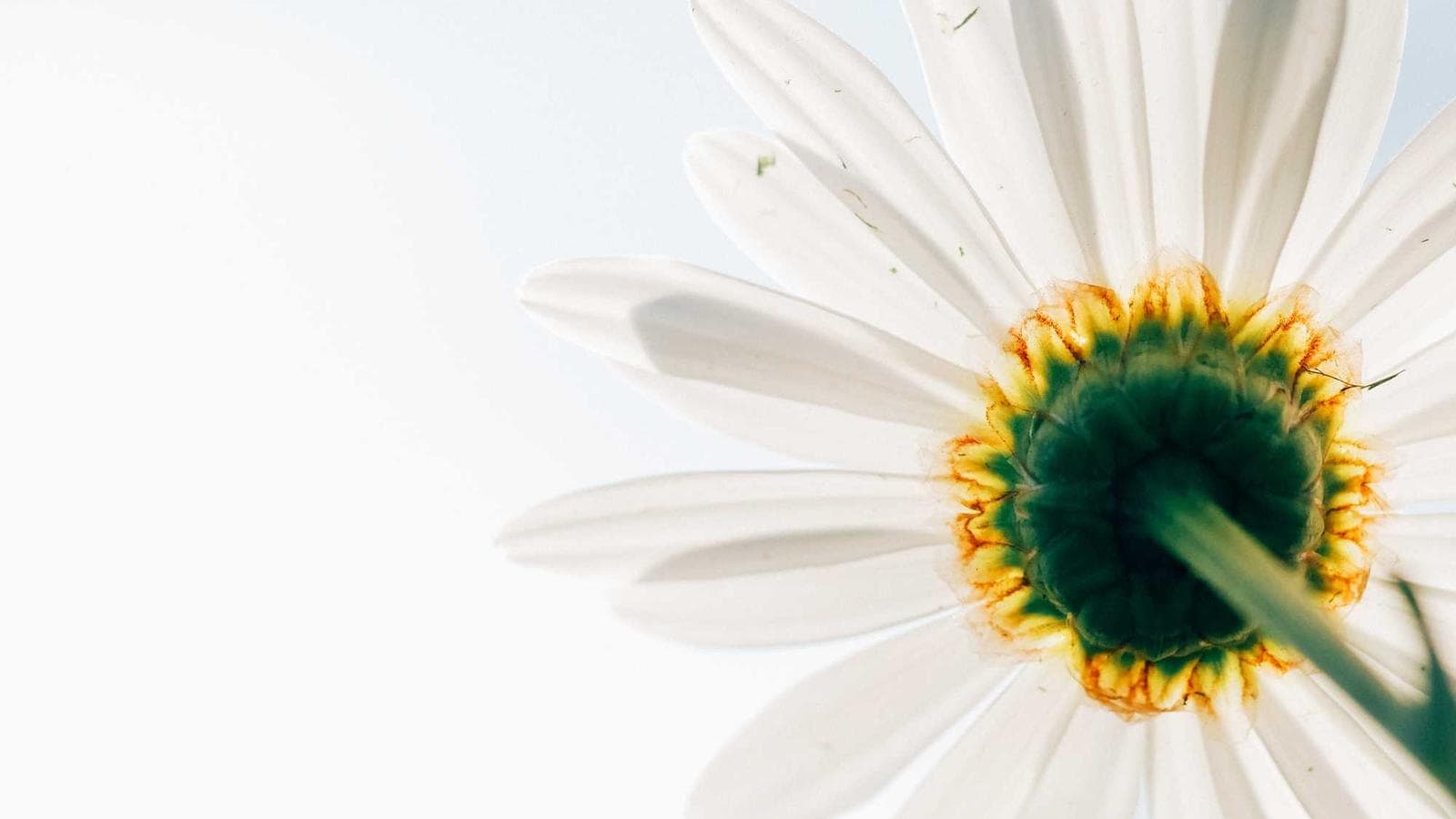 サブスク過多:毎月漏れていくお金を止める方法