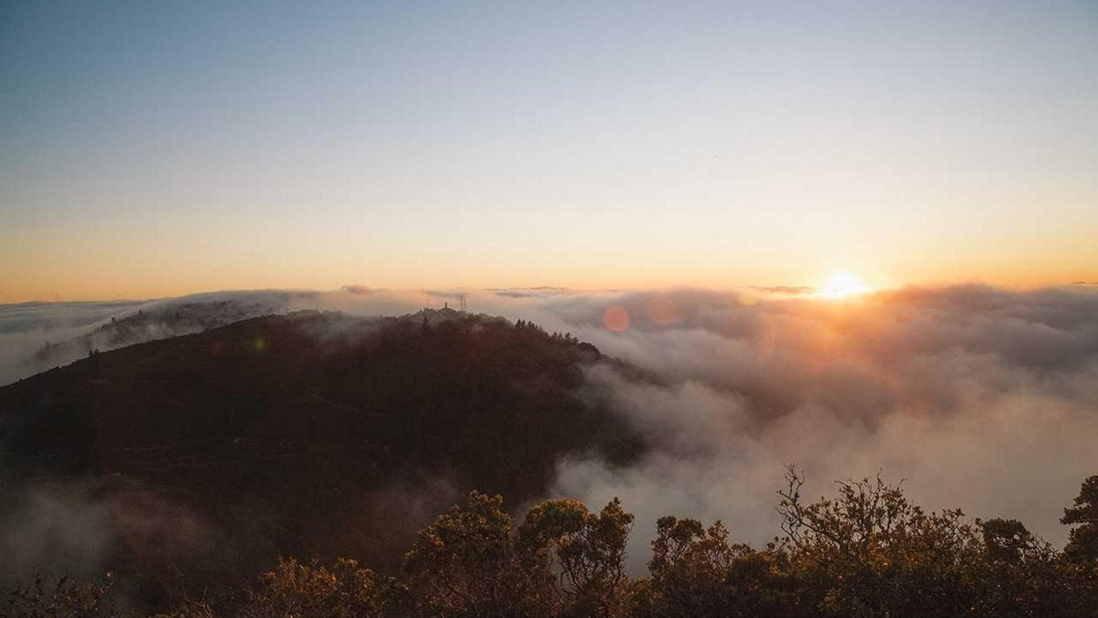 ETF 세금 전략: 계좌 유형별 VTV와 SCHD 최적 배치 방법