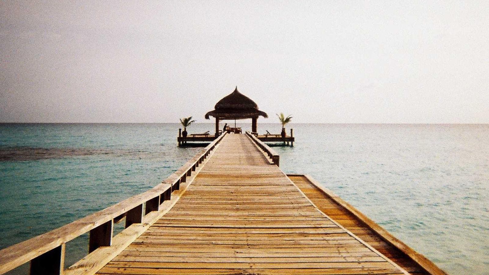 SCHD vs VTV 完全比較:2つのバリューETFの核心的な違いを徹底解説