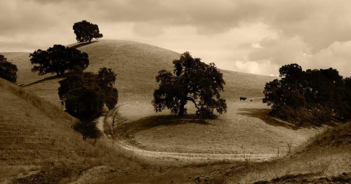 週間株式分析:ビッグマネーの動きを追跡せよ