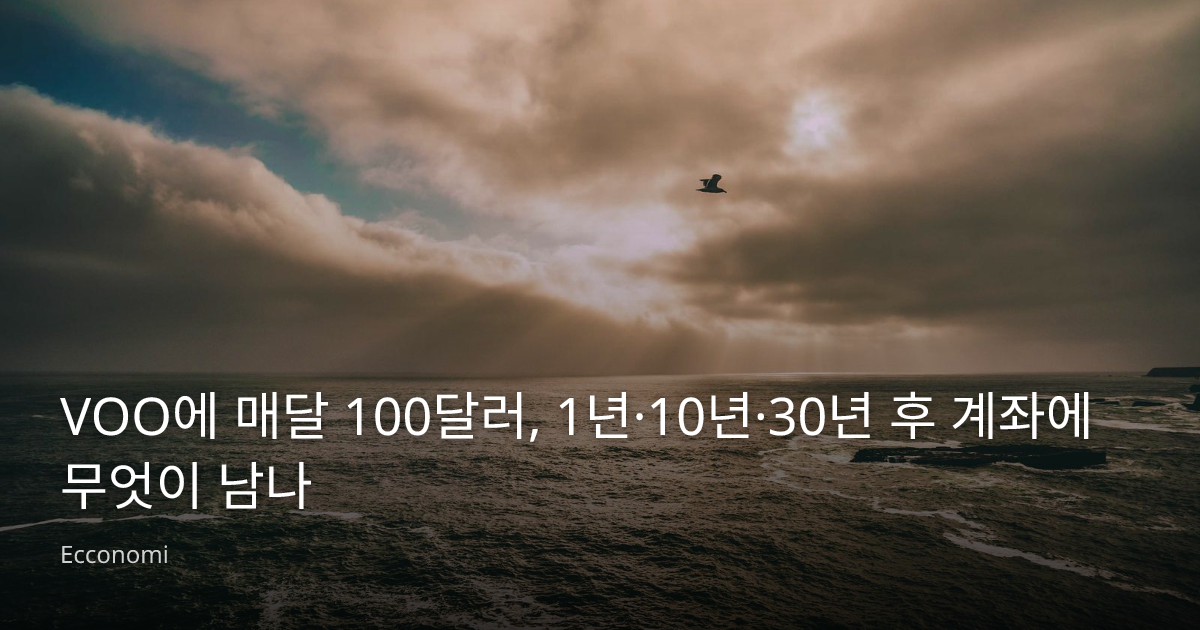 VOO에 매달 100달러, 1년·10년·30년 후 계좌에 무엇이 남나 - Ecconomi